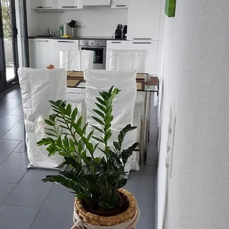 Daire A4brissago Apt Bellavista Brissago